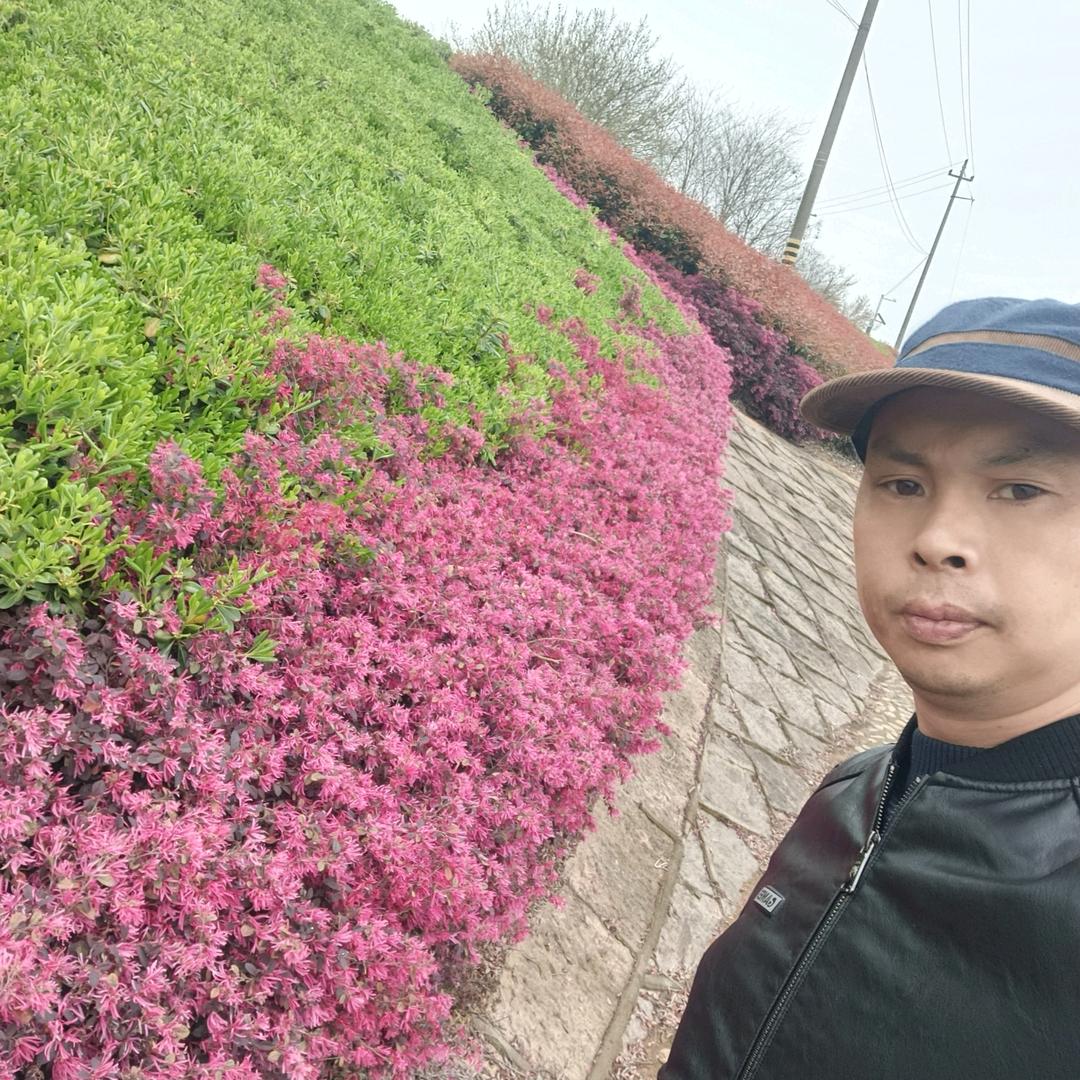 陈章平