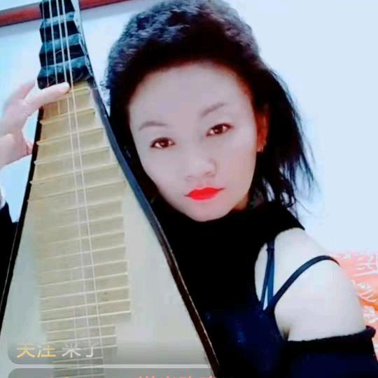 开封市豫剧院琵琶冰美人