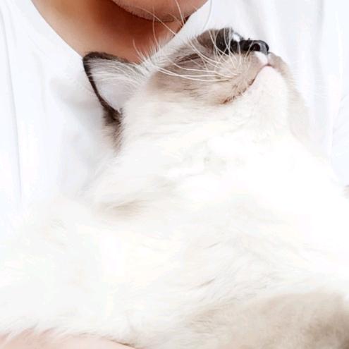 幽寒