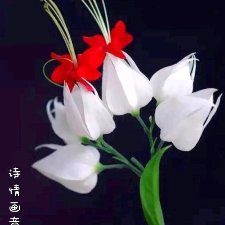 幸福每一天