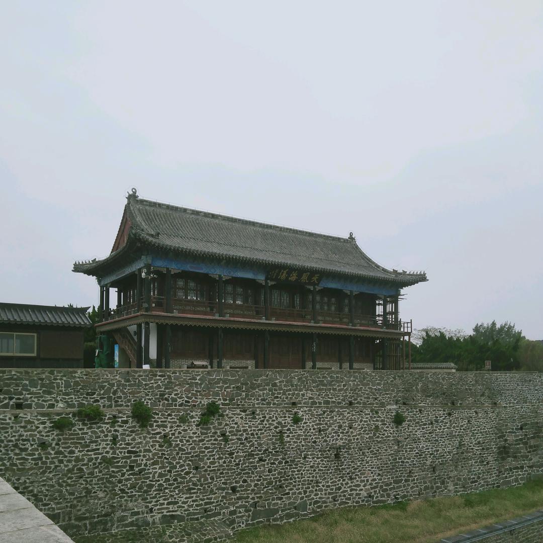真情永在