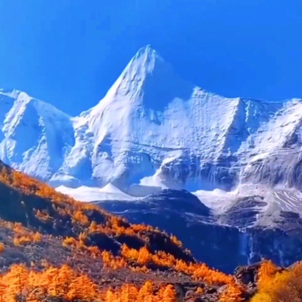 明诚