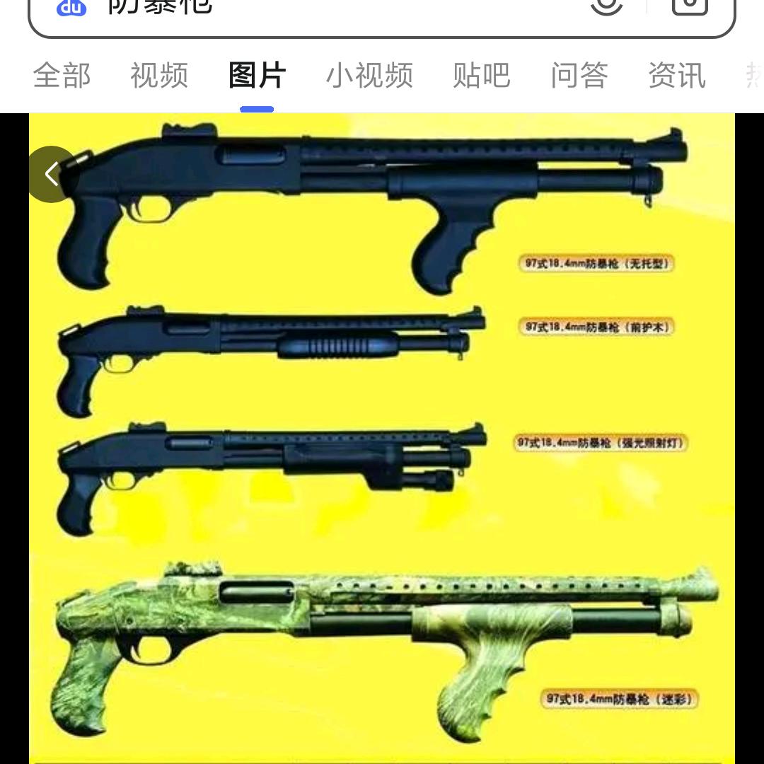 中国🇨🇳🇰🇵🇷🇺🇧🇷