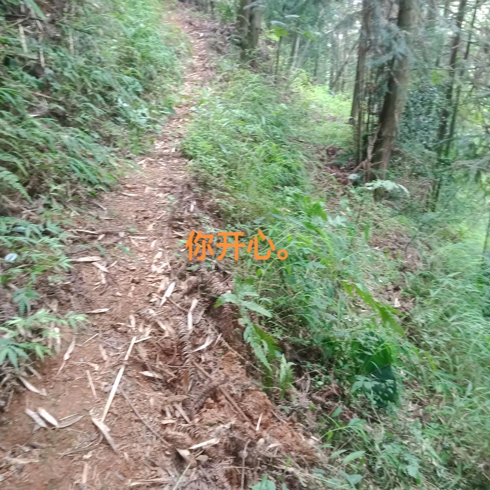 等你那么久