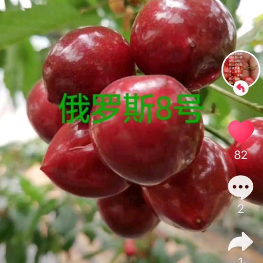 后庄老胡（有话评论区说）