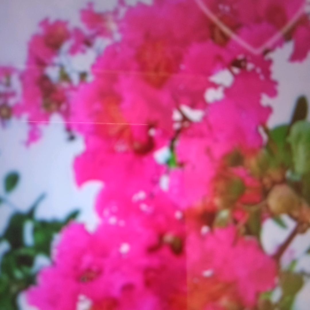 平平安安
