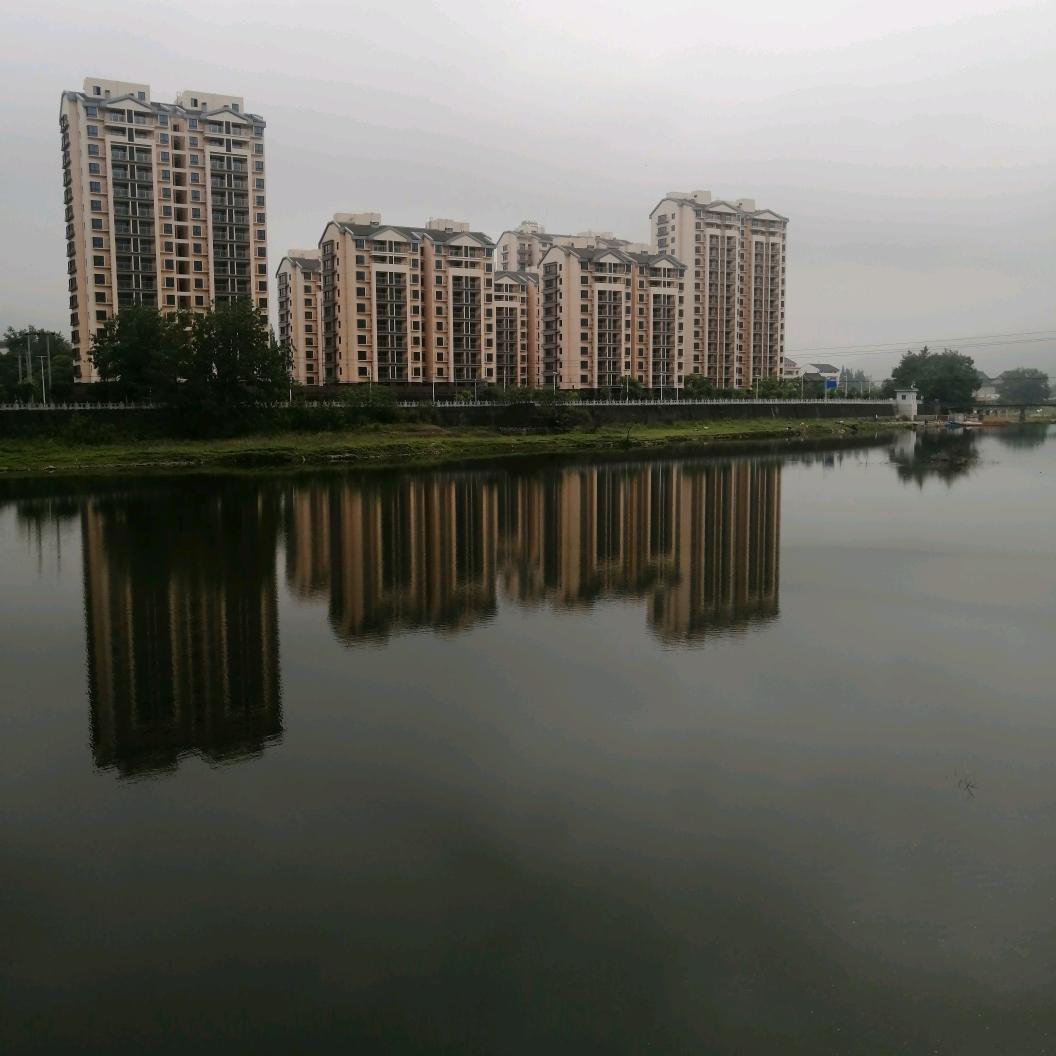 孫哥
