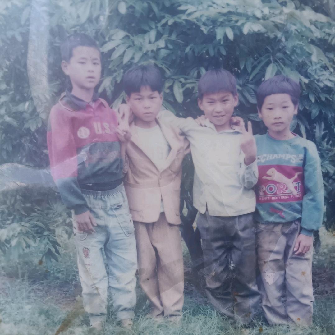 生孩子买斗鸡均可找我