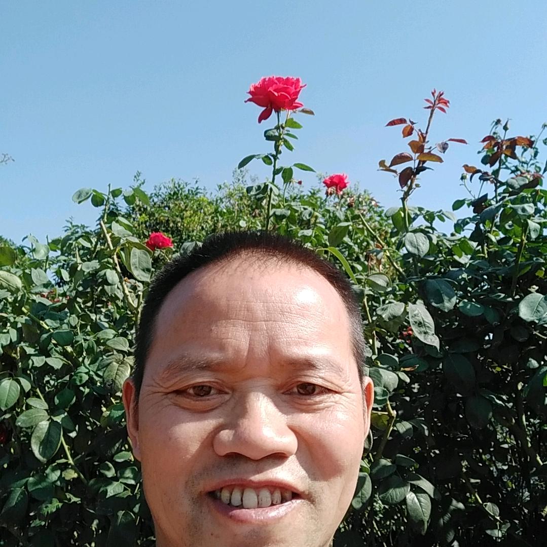 用户吉祥如意7502096967278