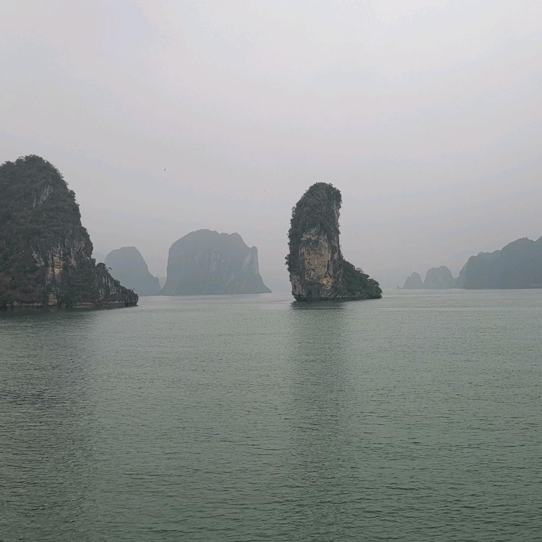 这厢有李