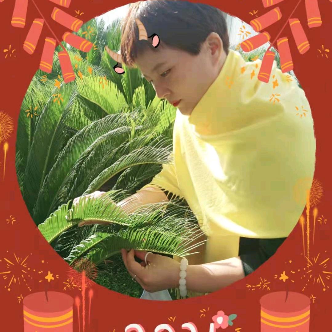 平子姐姐