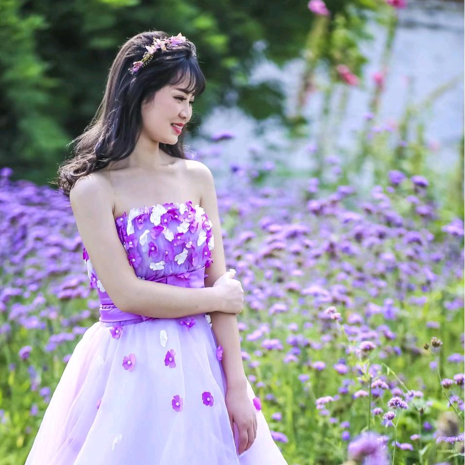 小牛鸽舍   长年收购元宝圆环各种观赏鸽