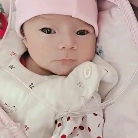 法依扎