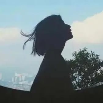 小乐禾