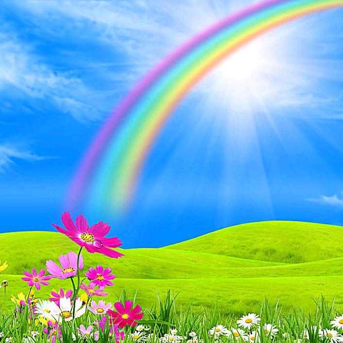 彩虹姐姐🌈