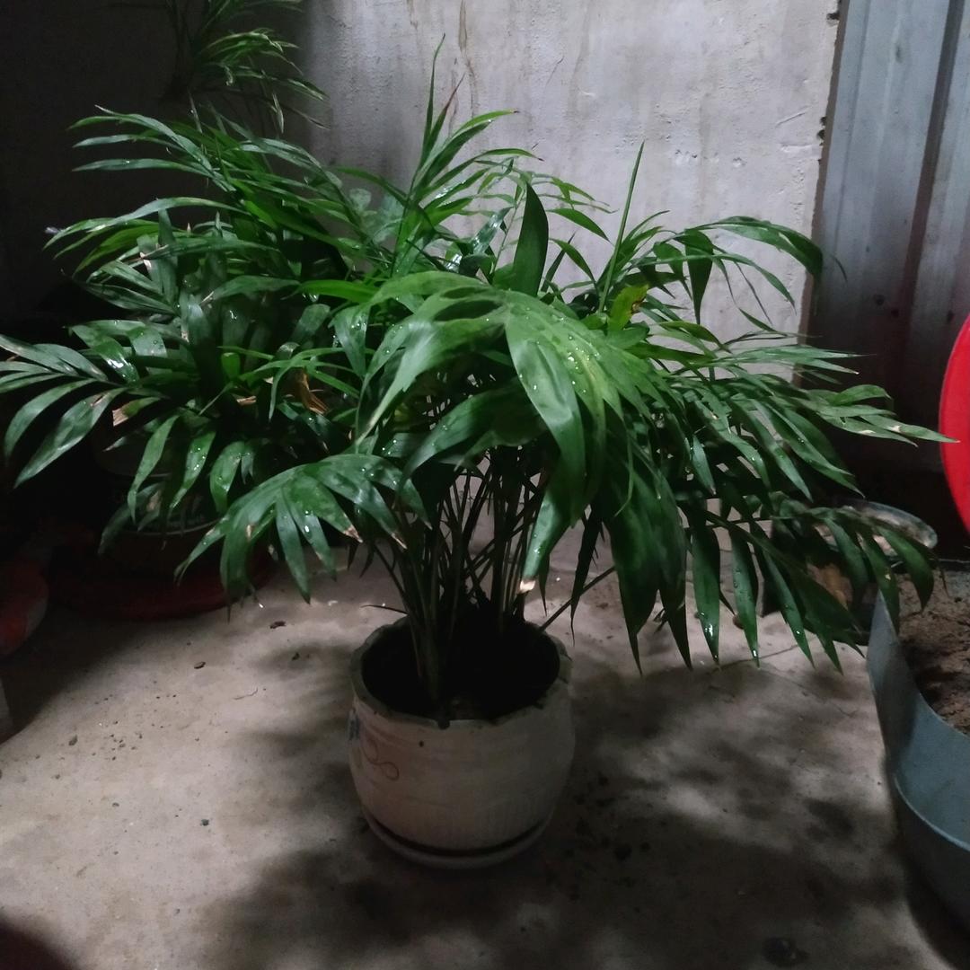 用户4701687921741