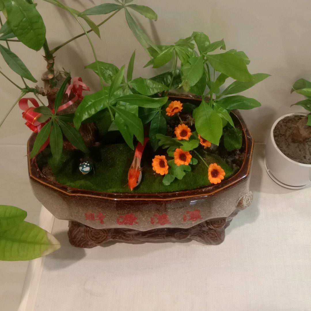 春天