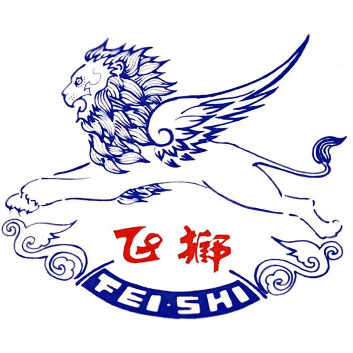 淄博飞狮巾被