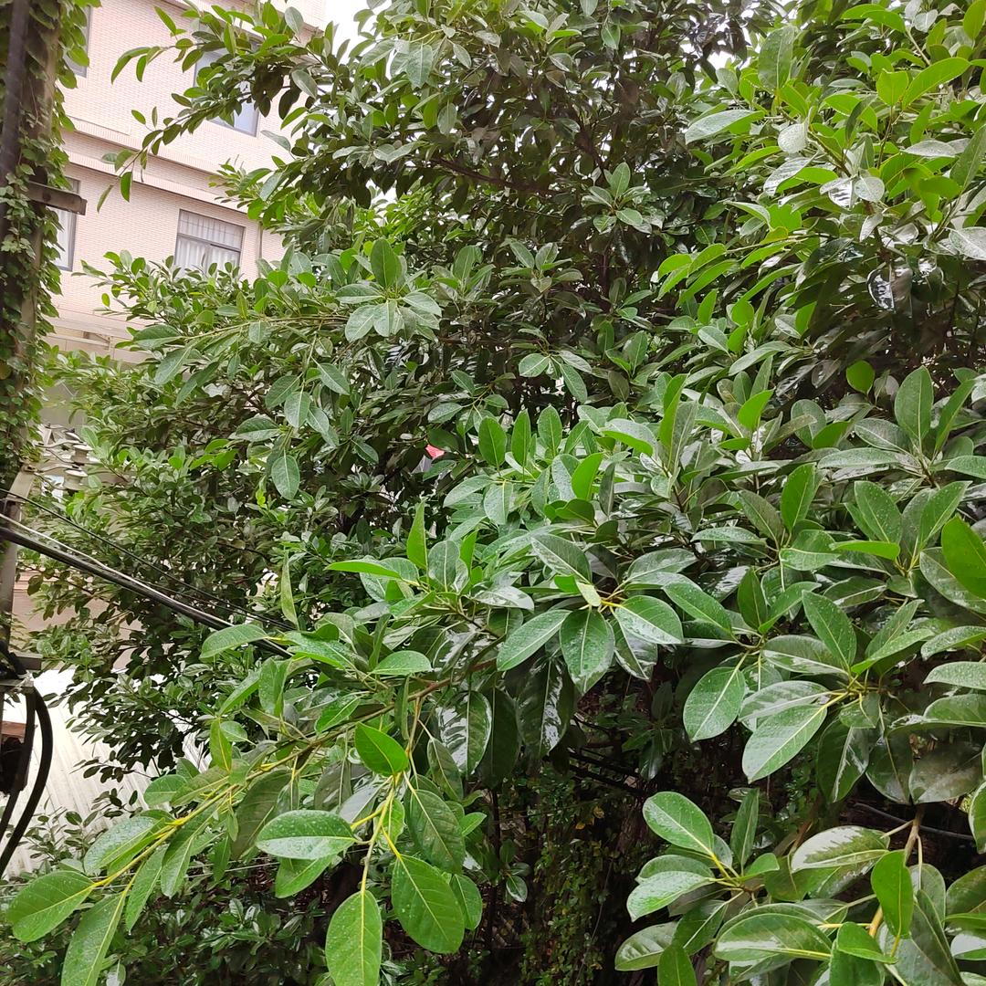 一路走来爱到永远