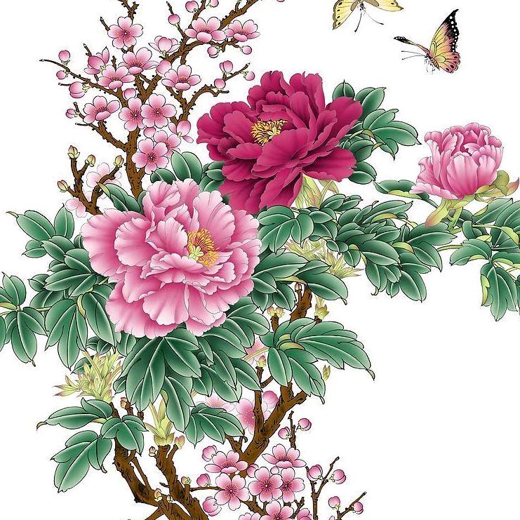 何菊花秋天的菊花、