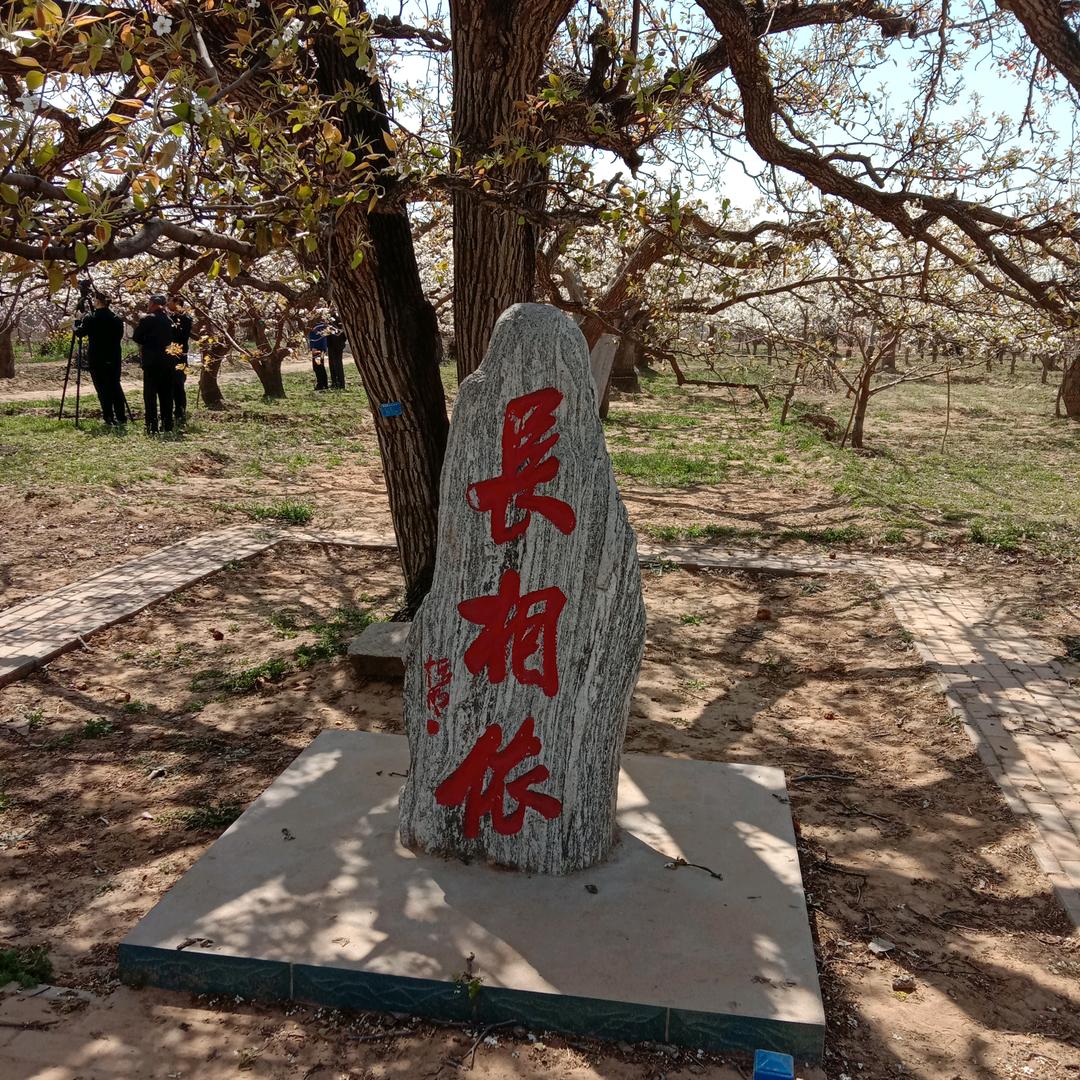 用户119643679636朵朵