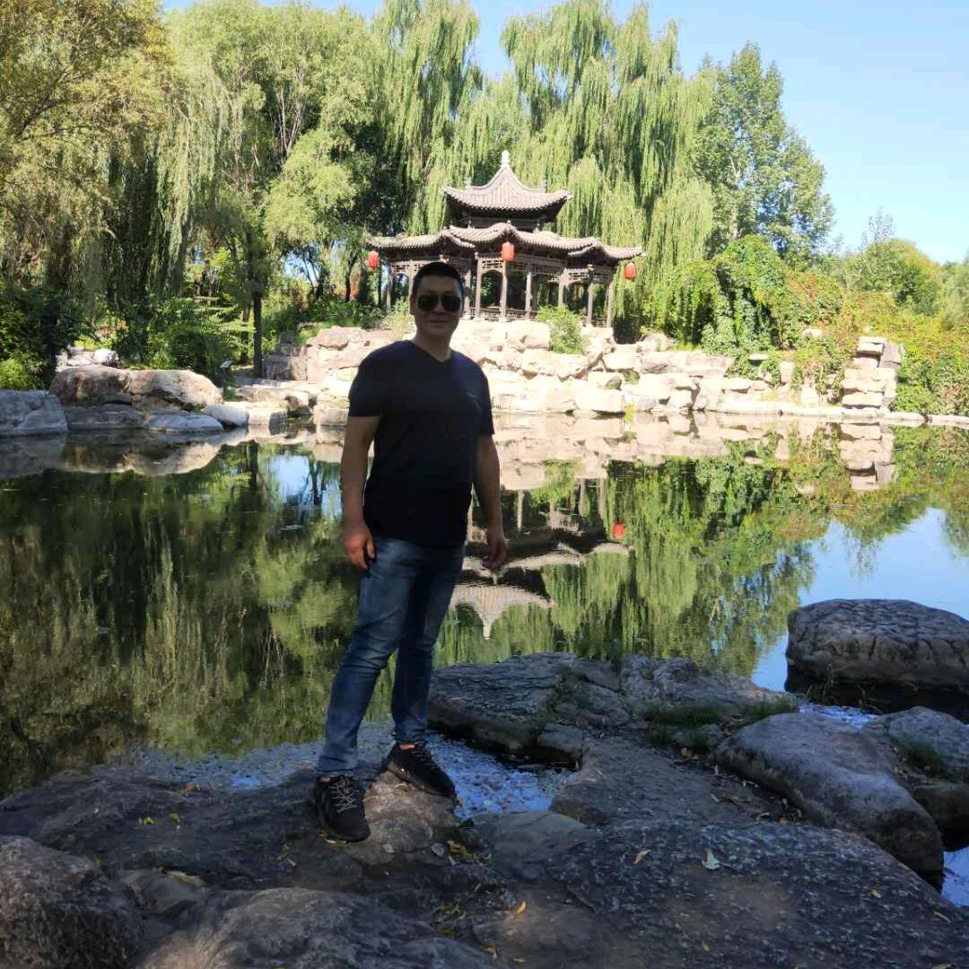 小鹿犬繁殖出售