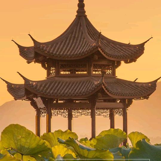 阿庆