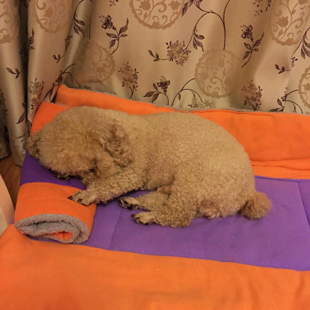 用户8106779862845英子夏天