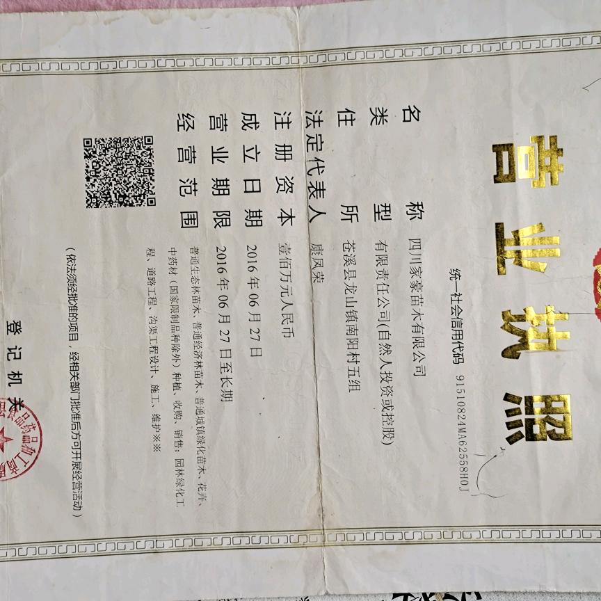 曲迪家豪果树苗木专卖店