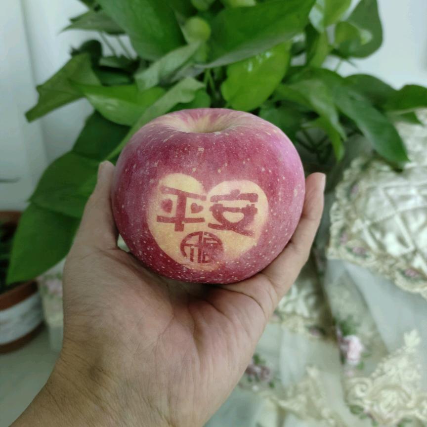 阳光很暖