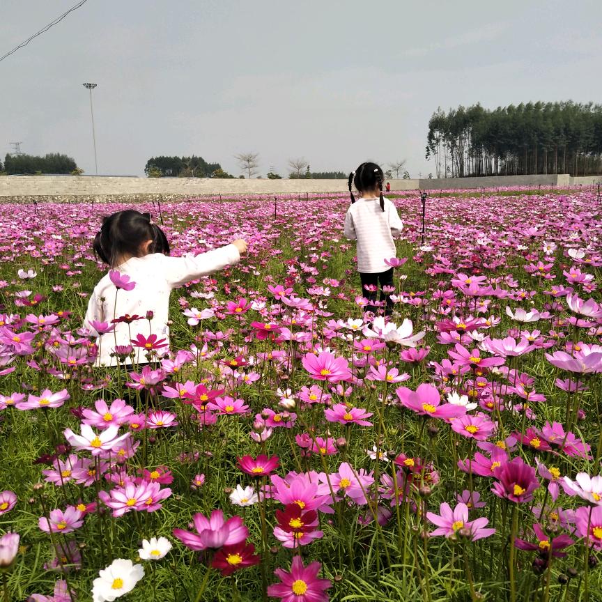 🌻媛&婷