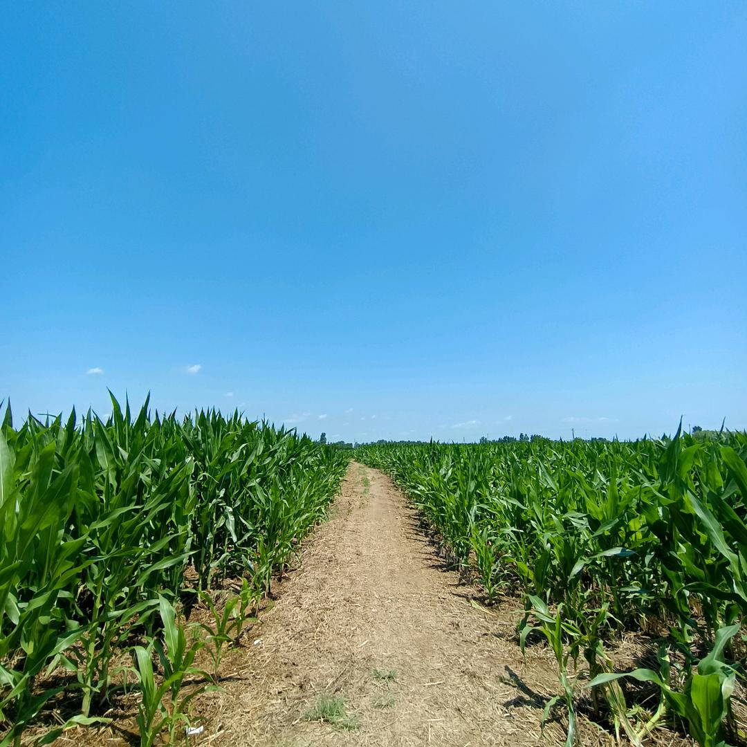 非开挖定向穿越