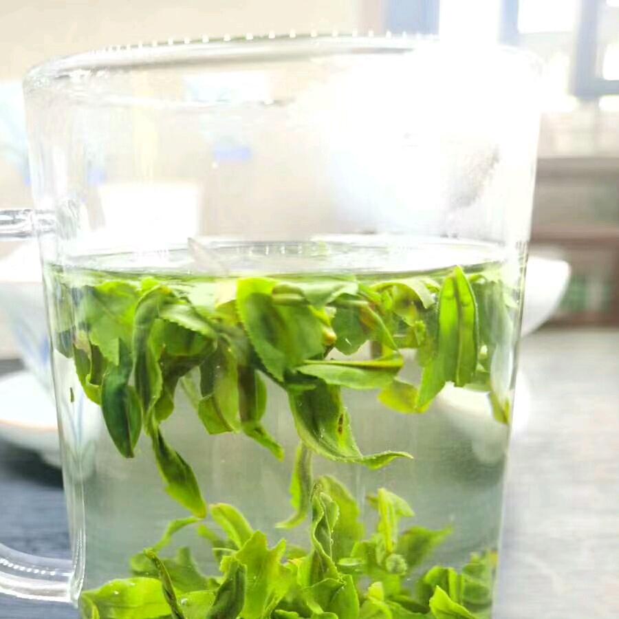 六安瓜片