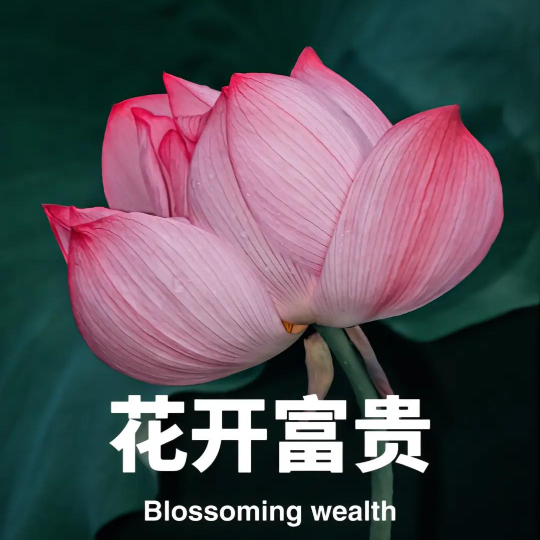 云朵单身