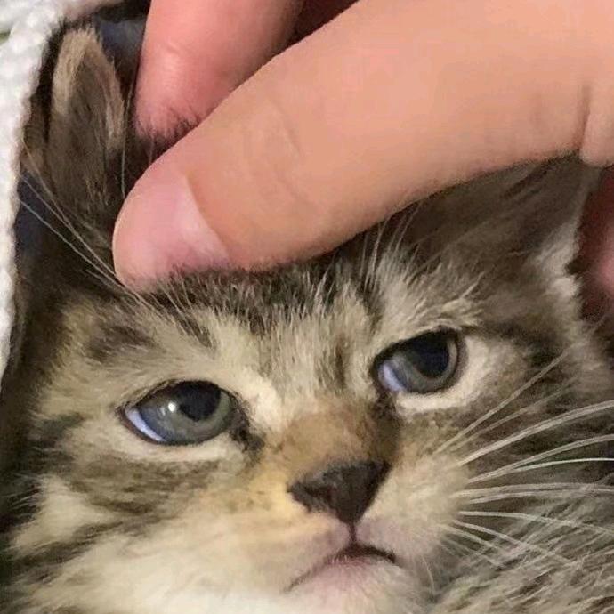 阿猹