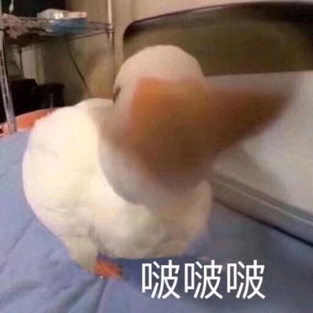 混乱选手养娃日记