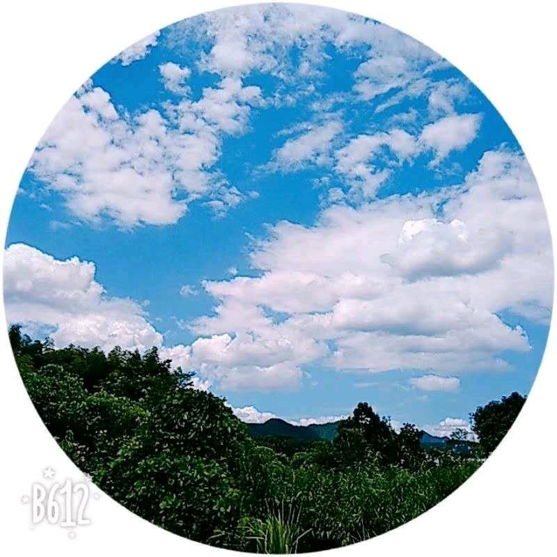 锦绣桃源