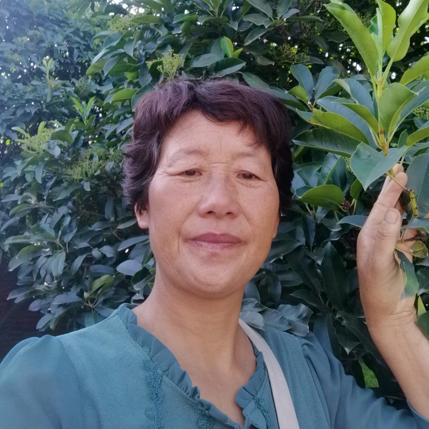 美好人生