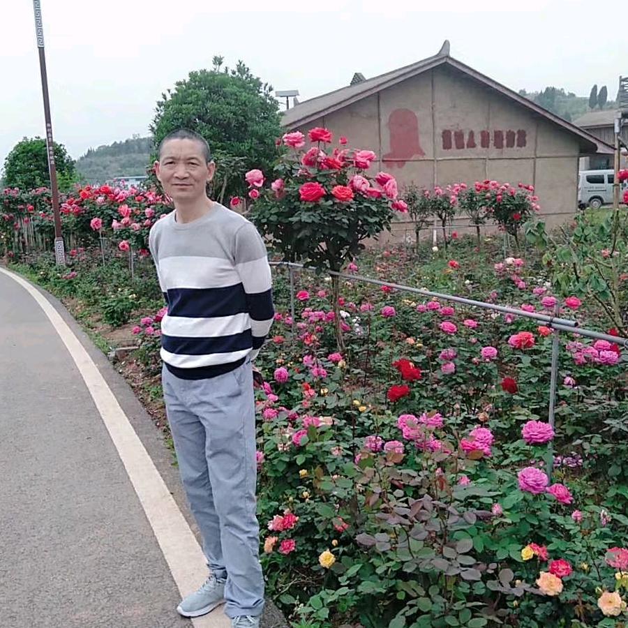 兵哥