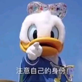 注定要成为中国首负的小汪同学