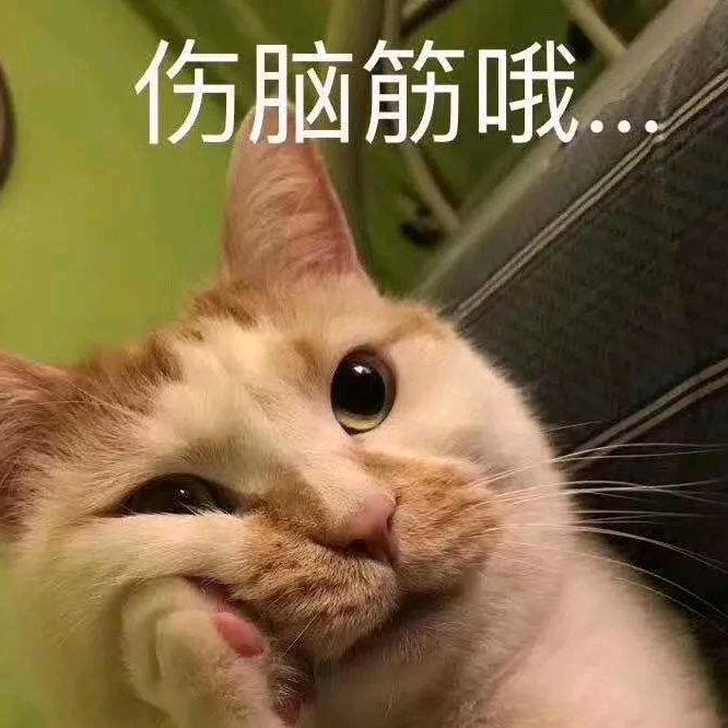 财神爷的独生女☺️