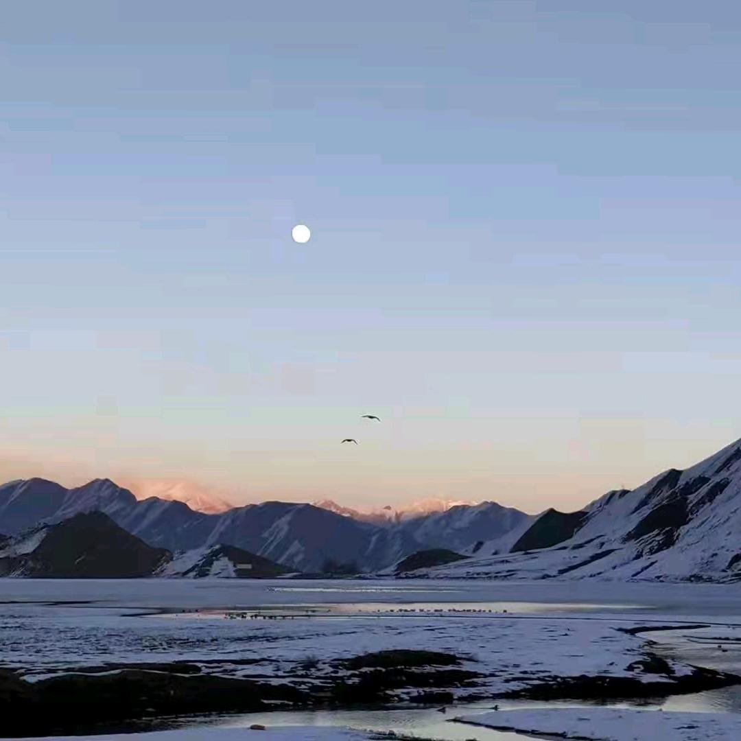 《信命不认命》