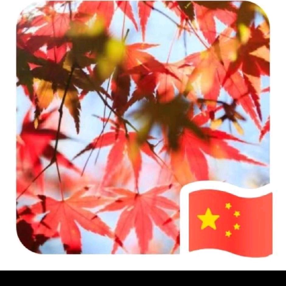 海阔天空🇨🇳