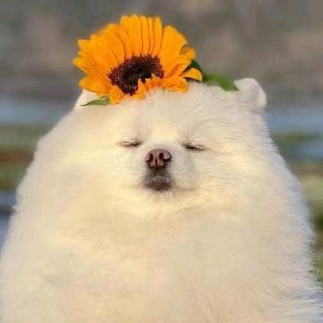 哈哈1
