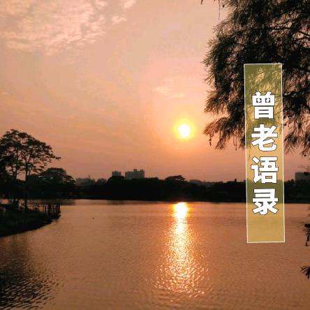 曾老语录