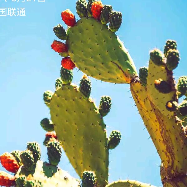 恒耀酒业