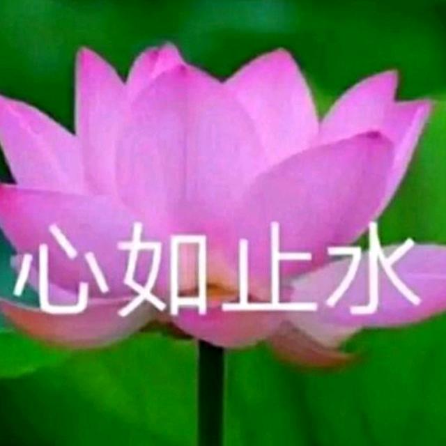 魏达美