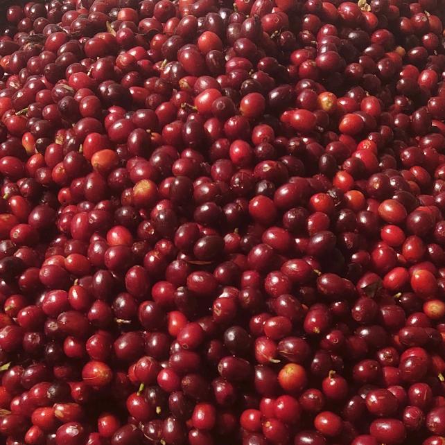 范