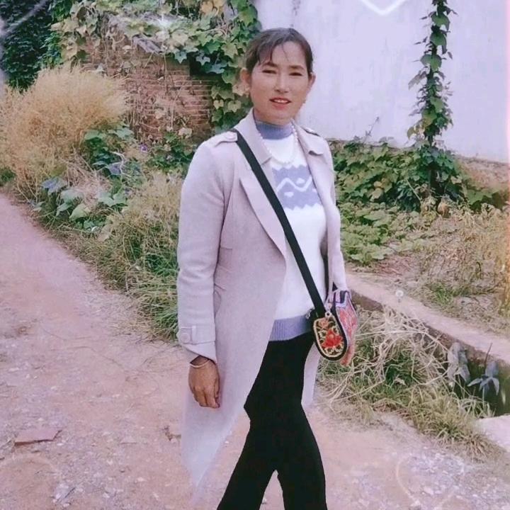 王四妹