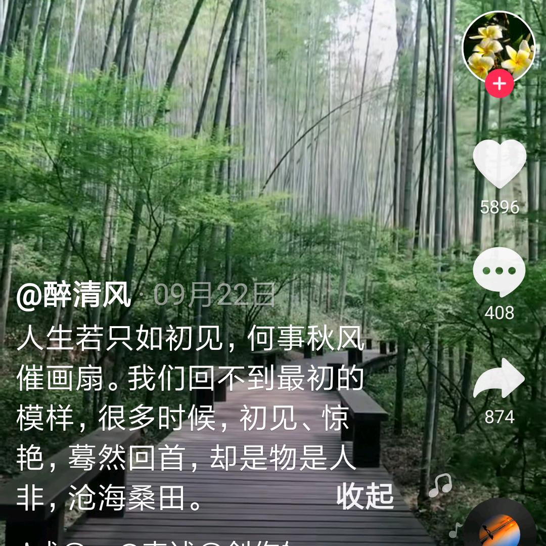 为你踏水而歌